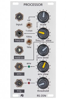 Analogue Systems RS-35N External Processor (Dual Bus)