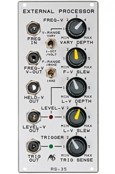 Analogue Systems RS-35 External Processor (Dual Bus)